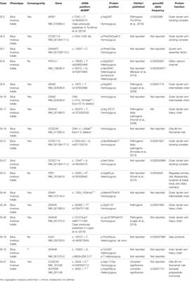 Spectrum of Genetic Variants in a Cohort of 37 Laterality Defect Cases